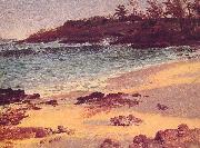 Albert Bierstadt Bahama Cove oil painting